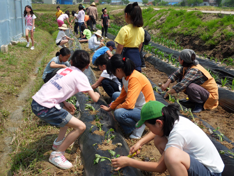 [강원] "농촌체험 관광도 지역별 체계적으로"