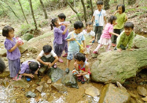 [부산·울산·경남] 부산에 숲속유치원·숲체험교실 개설 붐