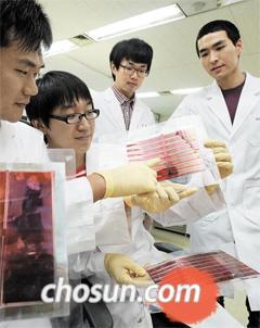 퇴행성 관절염 원인 밝히고 필름형 태양전지·치료용 유산균 개발