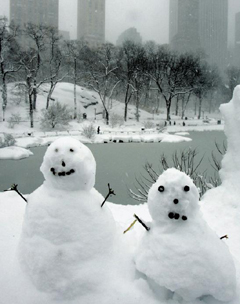 평일엔 현지 친구와 공부… 주말엔 美 역사·문화 체험 떠나요