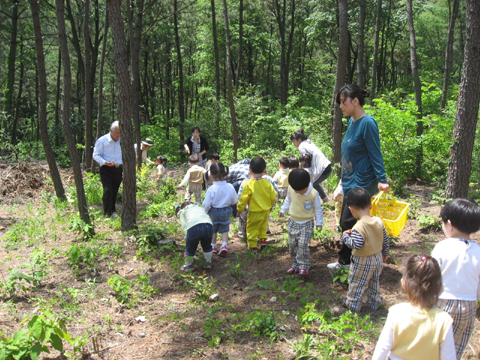 [부산·경남] 부산에 정통 '숲 유치원' 국내 첫 개설