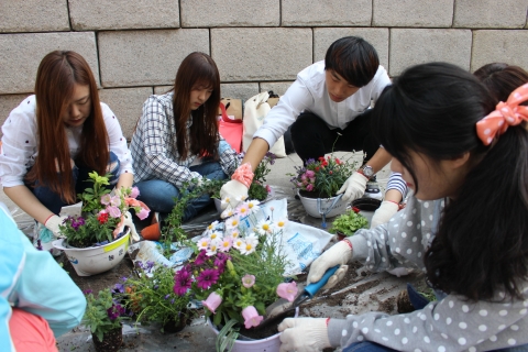 건국대 학생들, 청계천 게릴라가드닝 봉사