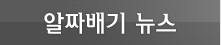 알짜베기 뉴스
