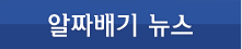 알짜베기 뉴스