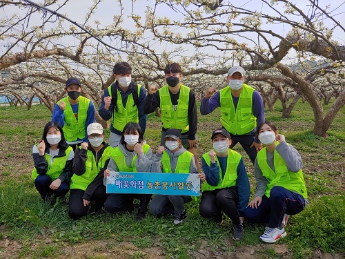 선문대 사회봉사센터, 일손 부족한 배 재배 농가에 봉사 활동